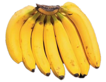 
キャベンディッシュバナナ[cavendish banana]